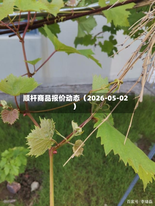 顺杆商品报价动态(2026-05-02)-第2张图片
