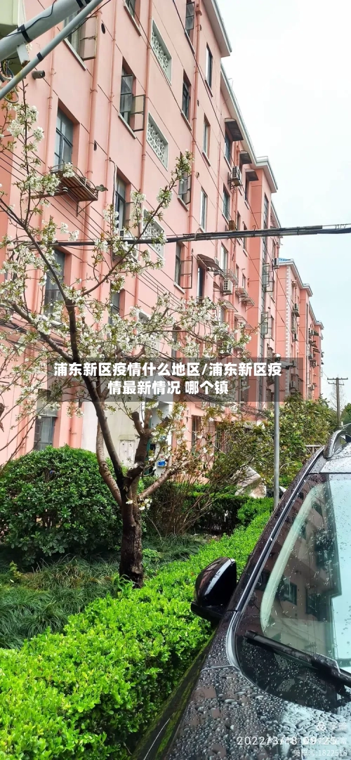 浦东新区疫情什么地区/浦东新区疫情最新情况 哪个镇