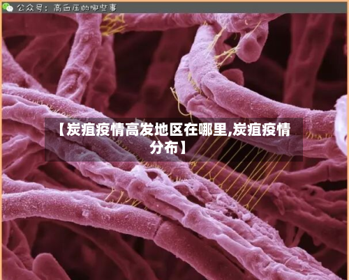 【炭疽疫情高发地区在哪里,炭疽疫情分布】-第2张图片