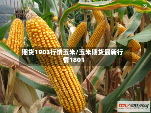 期货1903行情玉米/玉米期货最新行情1801