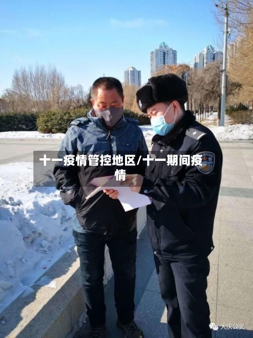 十一疫情管控地区/十一期间疫情