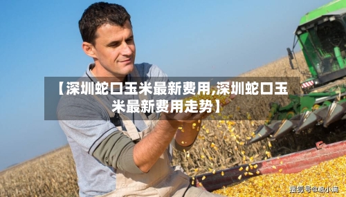 【深圳蛇口玉米最新费用,深圳蛇口玉米最新费用走势】