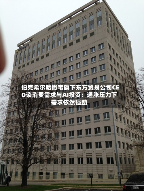 伯克希尔哈撒韦旗下东方贸易公司CEO谈消费需求与AI投资:通胀压力下需求依然强劲-第3张图片