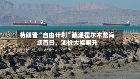 特朗普“自由计划	”疏通霍尔木兹海峡首日，油价大幅飙升-第2张图片