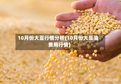 10月份大豆行情分析(10月份大豆油费用行情)-第3张图片