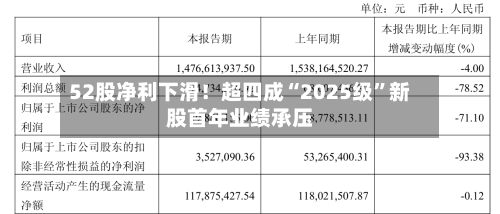 52股净利下滑！超四成“2025级”新股首年业绩承压-第2张图片