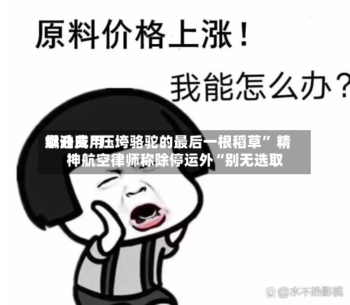 燃油费用飙升成“压垮骆驼的最后一根稻草” 精神航空律师称除停运外“别无选取	”-第3张图片