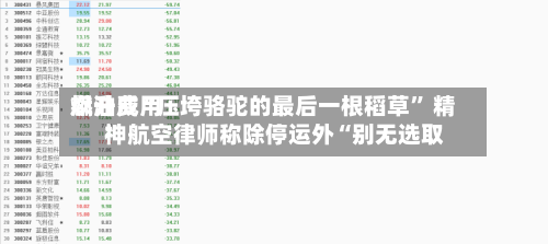燃油费用飙升成“压垮骆驼的最后一根稻草” 精神航空律师称除停运外“别无选取”-第2张图片