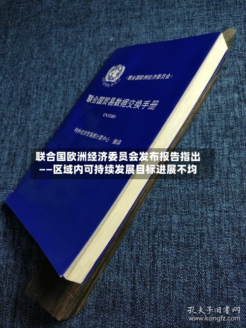 联合国欧洲经济委员会发布报告指出——区域内可持续发展目标进展不均