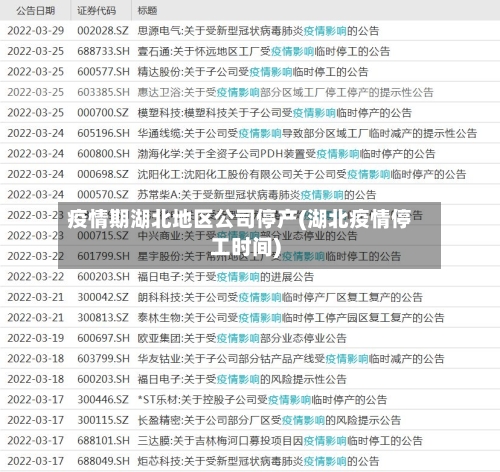 疫情期湖北地区公司停产(湖北疫情停工时间)