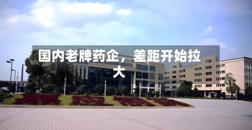 国内老牌药企，差距开始拉大-第3张图片