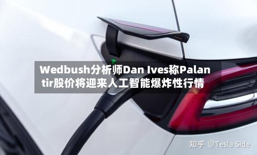 Wedbush分析师Dan Ives称Palantir股价将迎来人工智能爆炸性行情-第2张图片