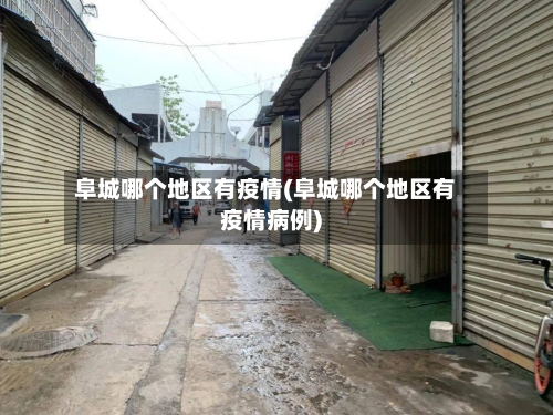 阜城哪个地区有疫情(阜城哪个地区有疫情病例)