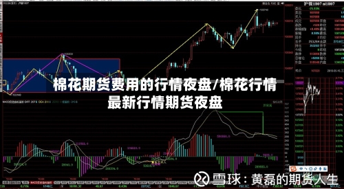 棉花期货费用的行情夜盘/棉花行情最新行情期货夜盘-第2张图片