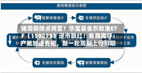 猪周期拐点将至？华宝基金农牧渔ETF（159275）逆市飘红！券商高呼：产能加速去化	，新一轮周期上行可期-第2张图片
