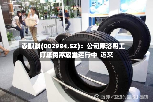 森麒麟(002984.SZ)：公司摩洛哥工厂正有序放量运行中  近来订单供不应求