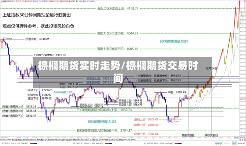 棕榈期货实时走势/棕榈期货交易时间