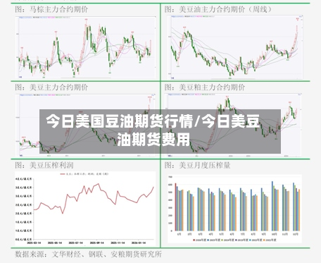 今日美国豆油期货行情/今日美豆油期货费用-第2张图片