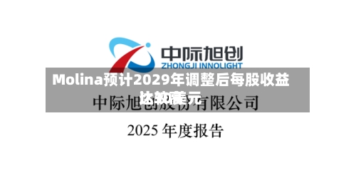 Molina预计2029年调整后每股收益比较高达30美元