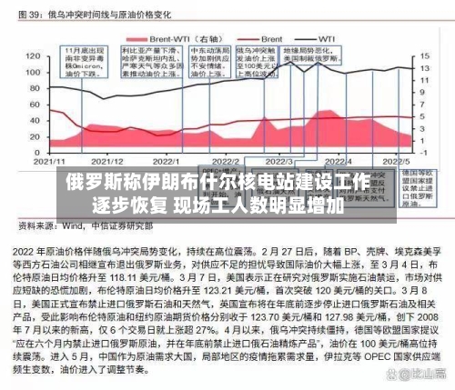俄罗斯称伊朗布什尔核电站建设工作逐步恢复 现场工人数明显增加-第3张图片