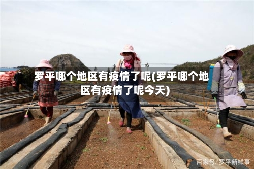 罗平哪个地区有疫情了呢(罗平哪个地区有疫情了呢今天)