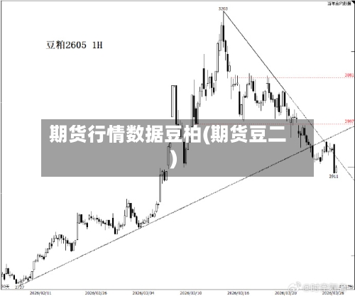 期货行情数据豆柏(期货豆二)