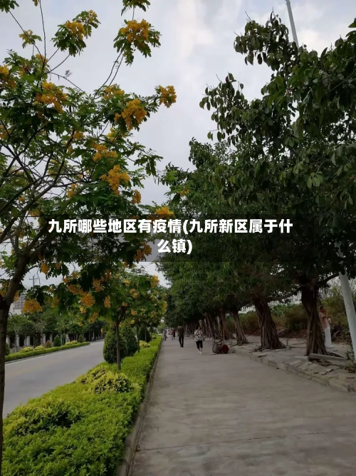 九所哪些地区有疫情(九所新区属于什么镇)