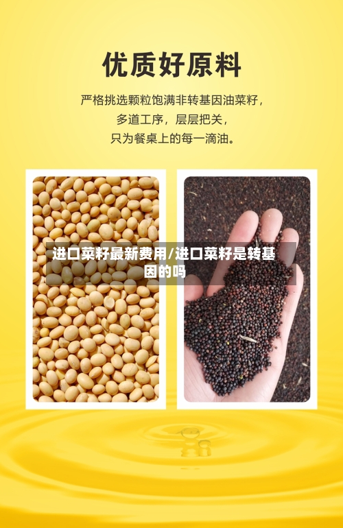 进口菜籽最新费用/进口菜籽是转基因的吗-第2张图片