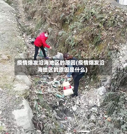 疫情爆发沿海地区的原因(疫情爆发沿海地区的原因是什么)