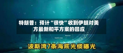 特朗普：预计“很快”收到伊朗对美方最新和平方案的回应-第3张图片