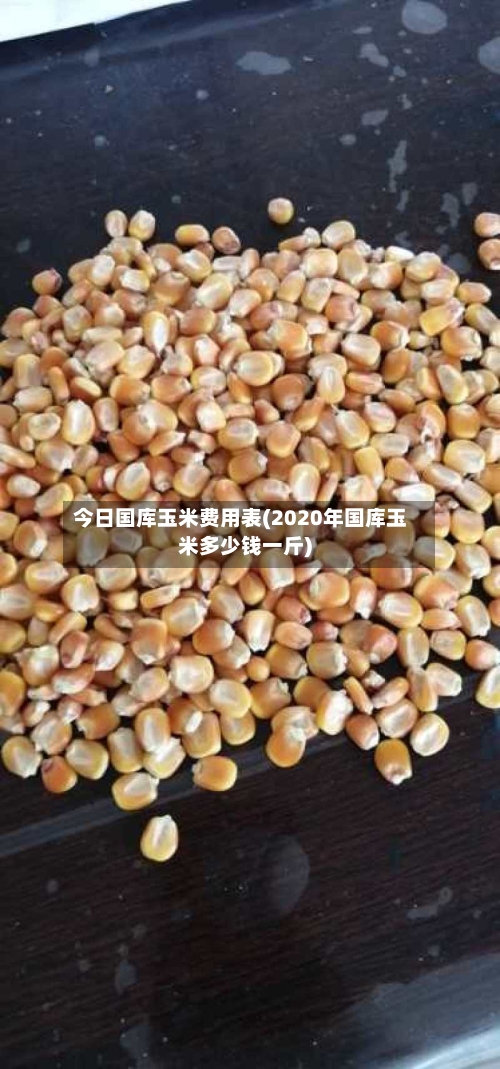 今日国库玉米费用表(2020年国库玉米多少钱一斤)-第3张图片