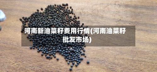 河南新油菜籽费用行情(河南油菜籽批发市场)