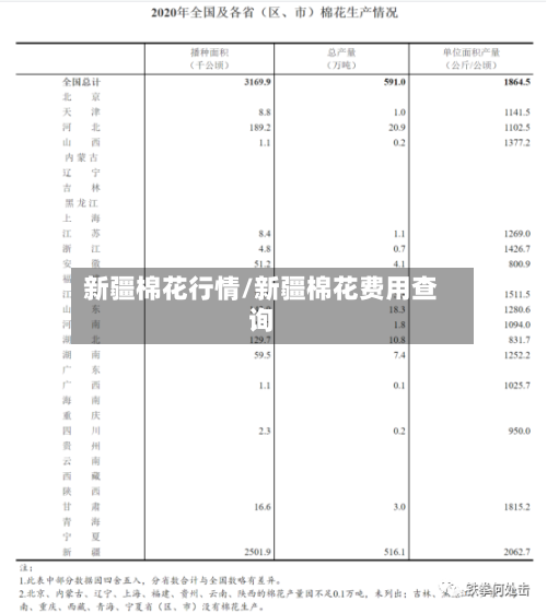 新疆棉花行情/新疆棉花费用查询