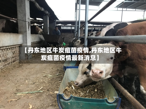 【丹东地区牛炭疽菌疫情,丹东地区牛炭疽菌疫情最新消息】-第2张图片