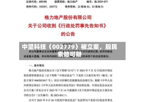 中坚科技（002779）被立案，股民索赔可期-第2张图片