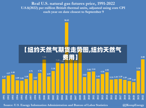 【纽约天然气期货走势图,纽约天然气费用】