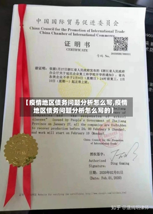 【疫情地区债务问题分析怎么写,疫情地区债务问题分析怎么写的】-第2张图片