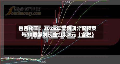 鲁西化工:2025年度利润分配预案每10股派发现金红利2元(含税)-第3张图片