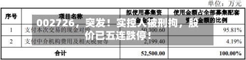 002726，突发！实控人被刑拘，股价已五连跌停！