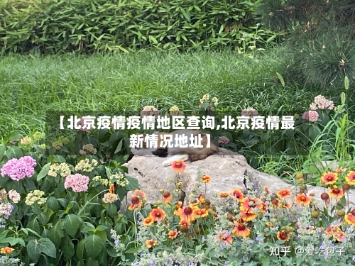 【北京疫情疫情地区查询,北京疫情最新情况地址】