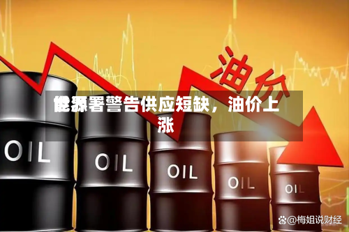 世界能源署警告供应短缺，油价上涨-第2张图片