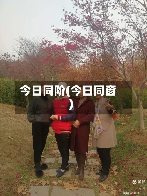 今日同阶(今日同窗)-第3张图片