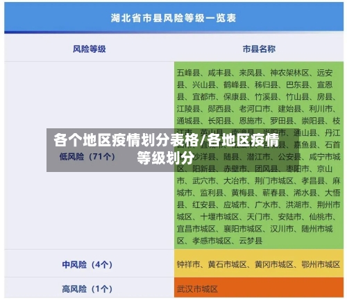 各个地区疫情划分表格/各地区疫情等级划分