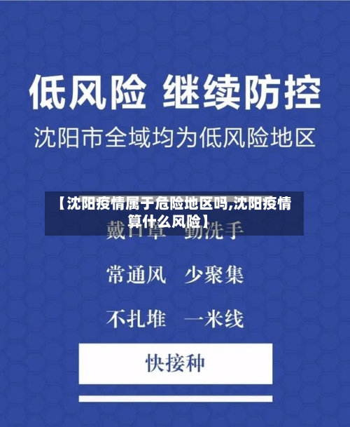 【沈阳疫情属于危险地区吗,沈阳疫情算什么风险】-第3张图片