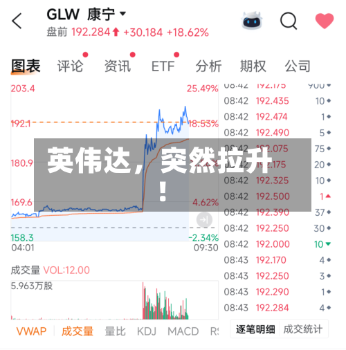 英伟达	，突然拉升！-第2张图片