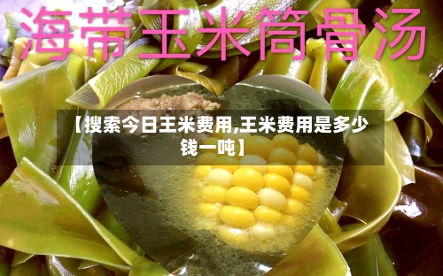 【搜索今日王米费用,王米费用是多少钱一吨】