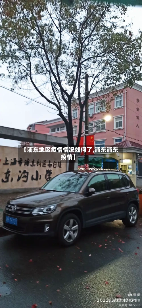 【浦东地区疫情情况如何了,浦东浦东疫情】-第2张图片