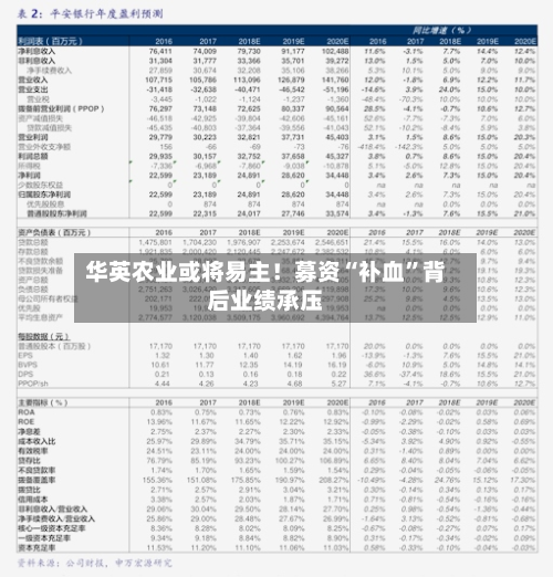 华英农业或将易主！募资“补血”背后业绩承压-第3张图片