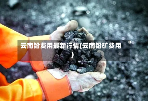 云南铅费用最新行情(云南铅矿费用)-第2张图片