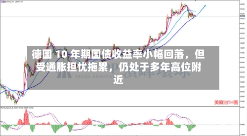 德国 10 年期国债收益率小幅回落，但受通胀担忧拖累，仍处于多年高位附近-第2张图片